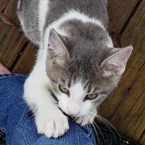 Meet your Posher, Marti